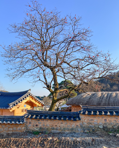 죽헌고택