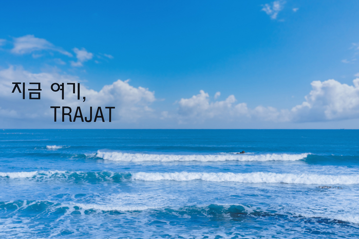 경주 감포트라제 펜션&풀빌라