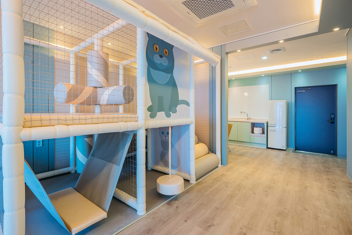 경주 감포트라제 펜션&풀빌라