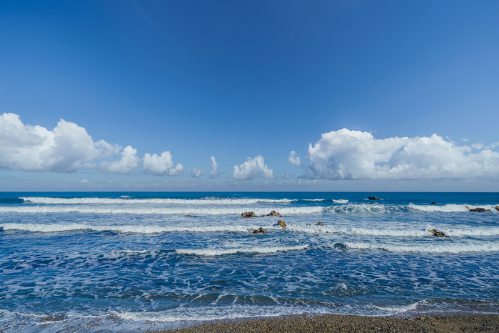 경주 감포트라제 펜션&풀빌라