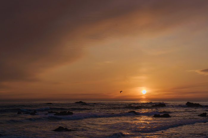 경주 감포트라제 펜션&풀빌라