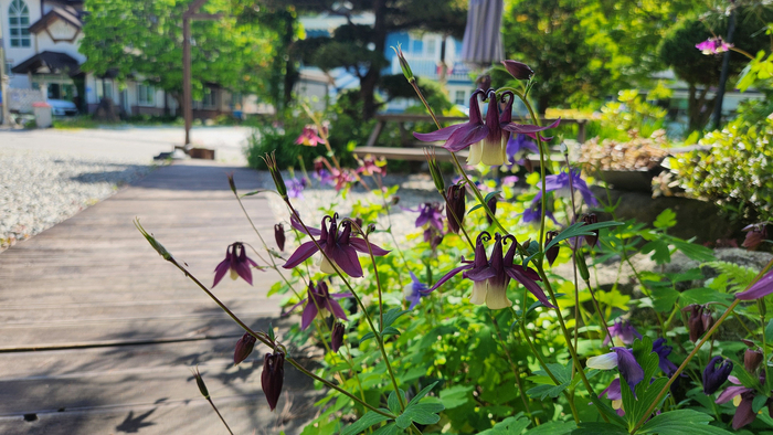 다숲펜션